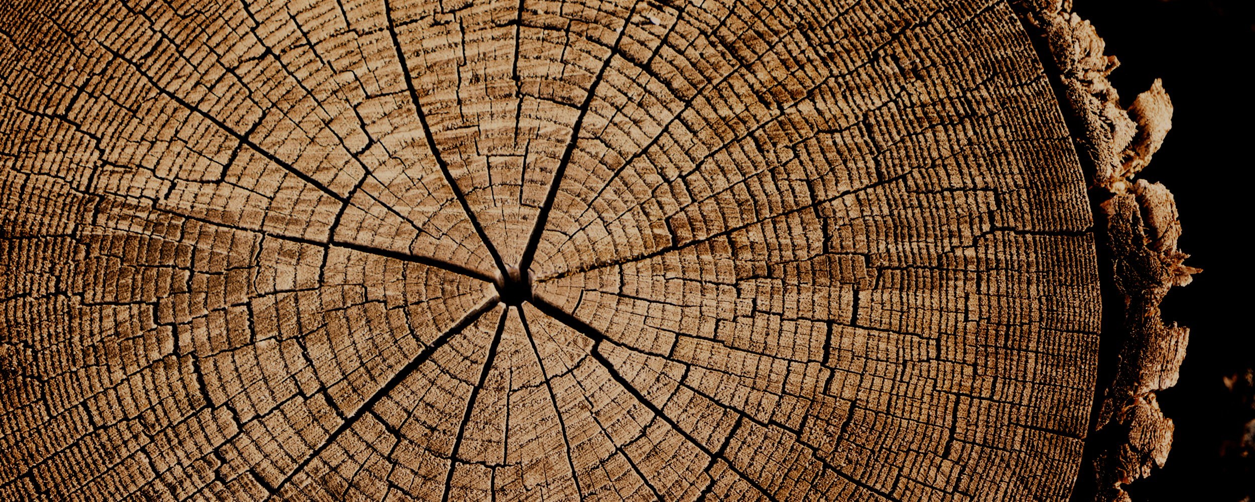 Welcome to Abou Jaoude &amp; Associates Law Firm